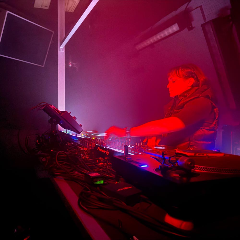 Electric Jungle at Loso